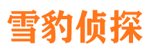 金明寻人公司